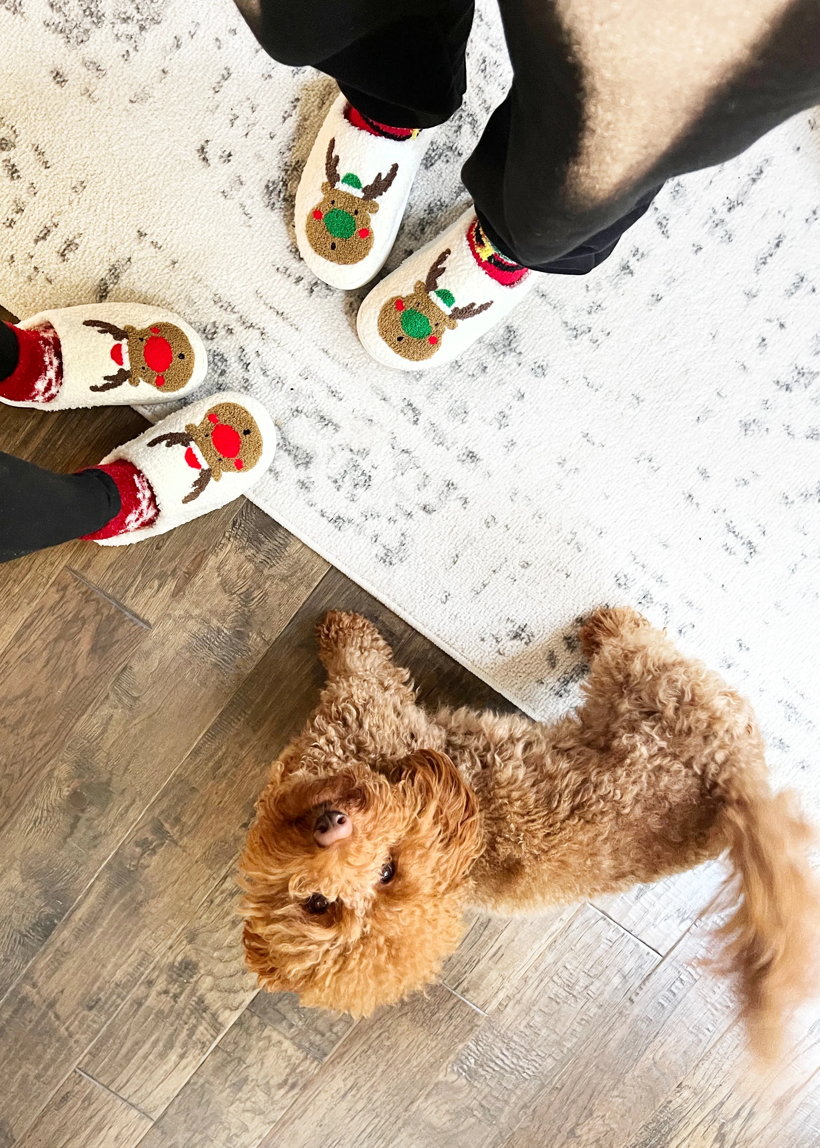 Reindeer Slippers Red