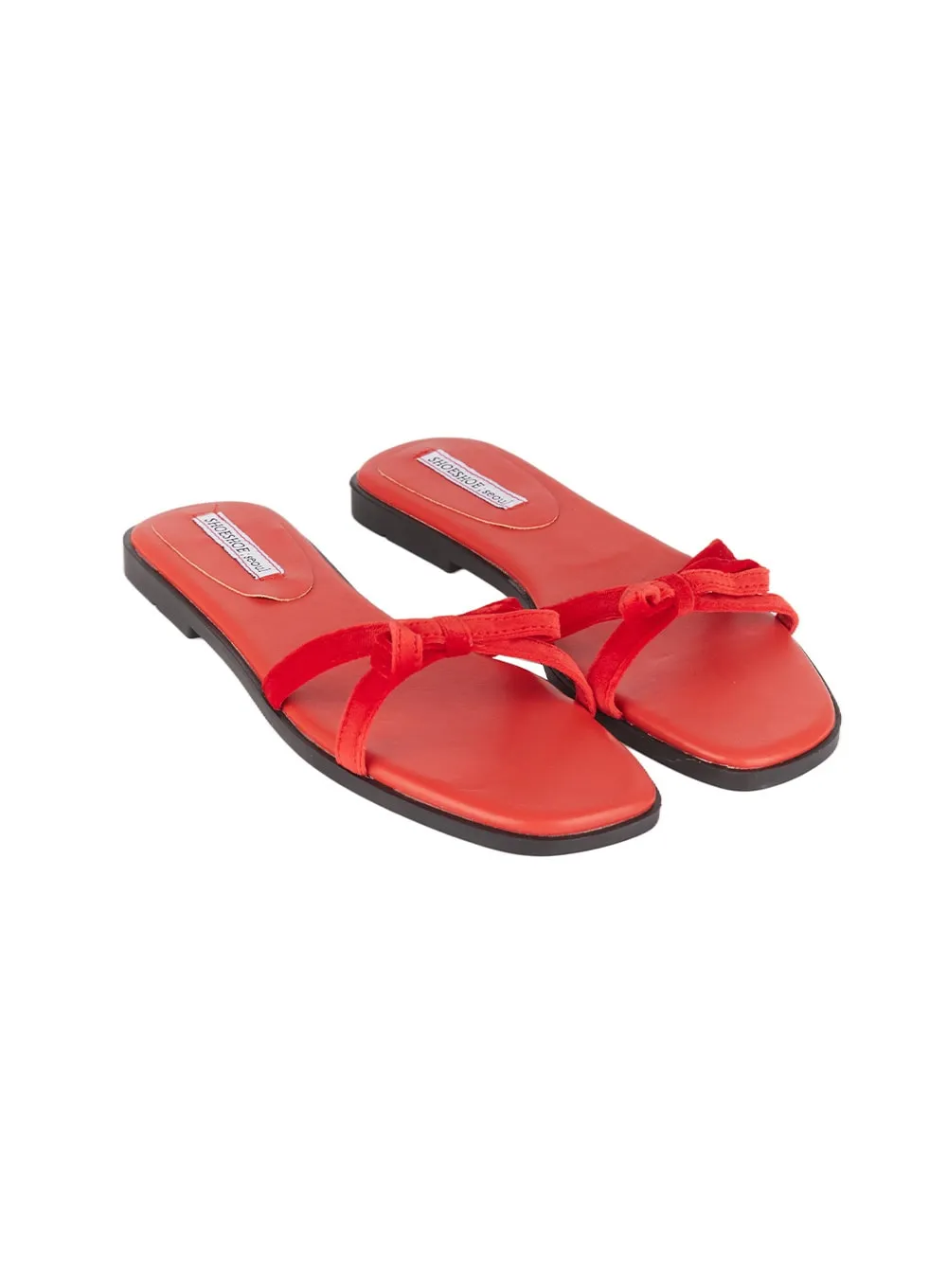 Velvet Ribbon Slippers CA501